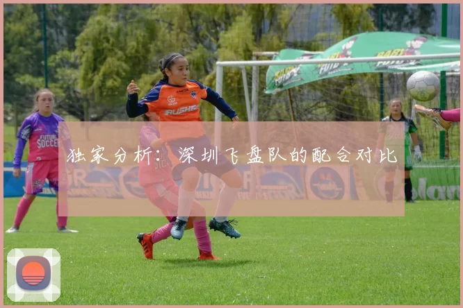 独家分析：深圳飞盘队的配合对比