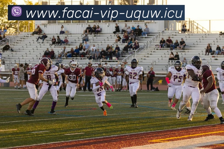 开云体育注册平台生态图