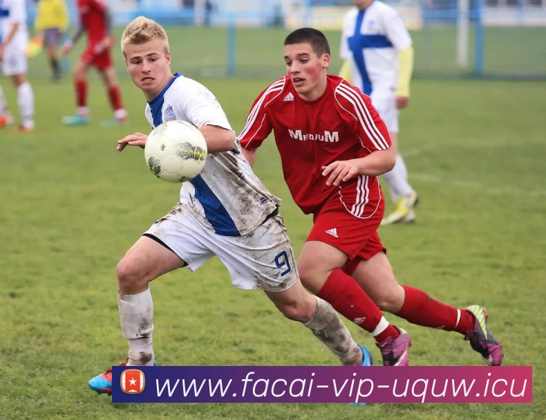 开云体育注册APP 封面图